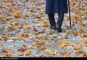 سکوتِ یک ستاره