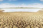 محیط زیست در ایران به کجا میرود ؟