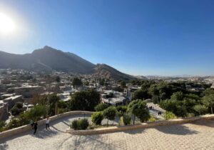 ماجرای شیره انگور بجای شراب