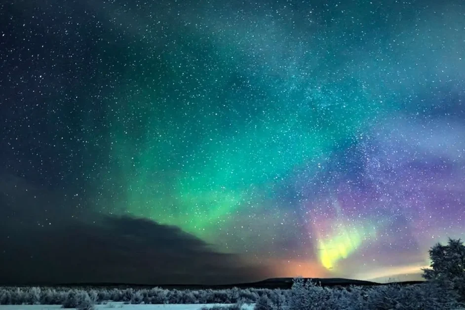 شاعر محبوب خواننده‌ها