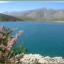 لبهای خشک تالاب خبر از رخساره می‌دهد