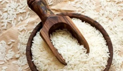 خطر برنج‌های ارزان قیمت آمریکایی